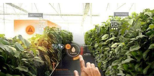 VR還能這么玩！農業+VR,玩轉農業新技術
