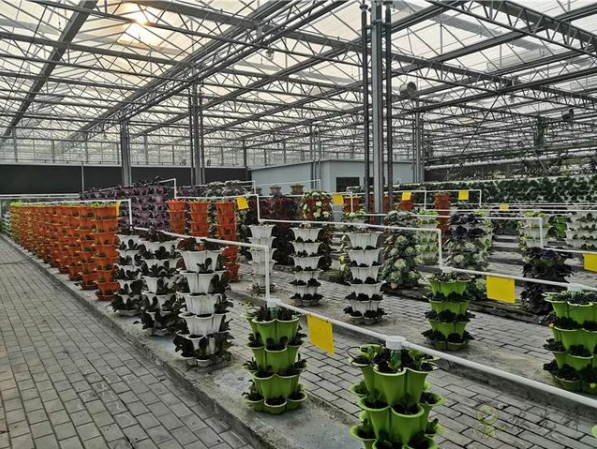 河北省將示范推廣100個農(nóng)業(yè)物聯(lián)網(wǎng)應(yīng)用試點