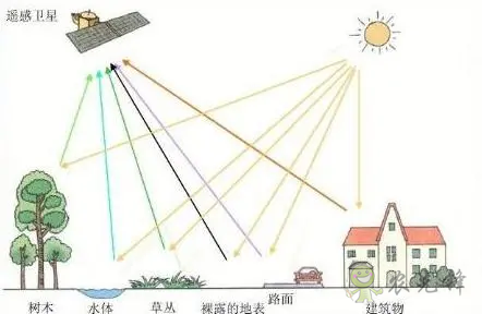 中國遙感衛星再添新成員 看TA在太空如何對農作物“稱斤計兩”？