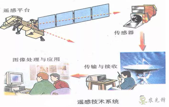 中國遙感衛星再添新成員 看TA在太空如何對農作物“稱斤計兩”？