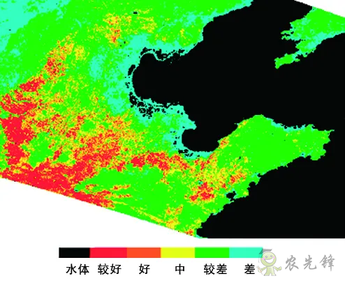 中國遙感衛星再添新成員 看TA在太空如何對農作物“稱斤計兩”？