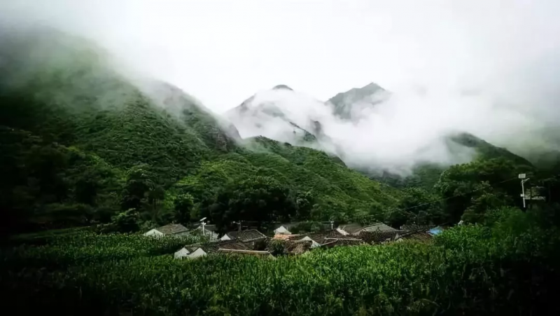 當代中國農(nóng)業(yè)轉型技術選擇之爭:化學化?轉基因?