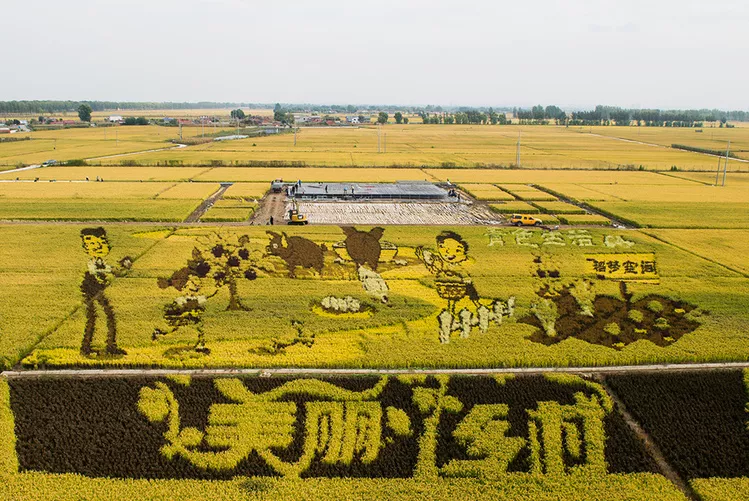 習近平：堅持農業(yè)農村優(yōu)先發(fā)展，加快農業(yè)農村現(xiàn)代化