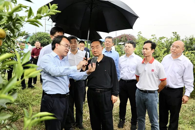 唐仁?。鹤龃笞鰪娞厣a業(yè)，扎實推進鄉(xiāng)村建設