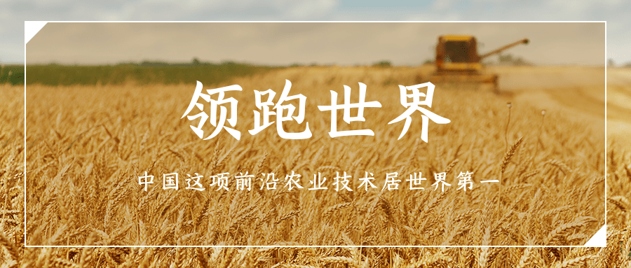 領跑世界:中國這項前沿農業(yè)技術居世界第一
