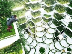 資本青睞的“垂直農業”，能代表農業的未來嗎？