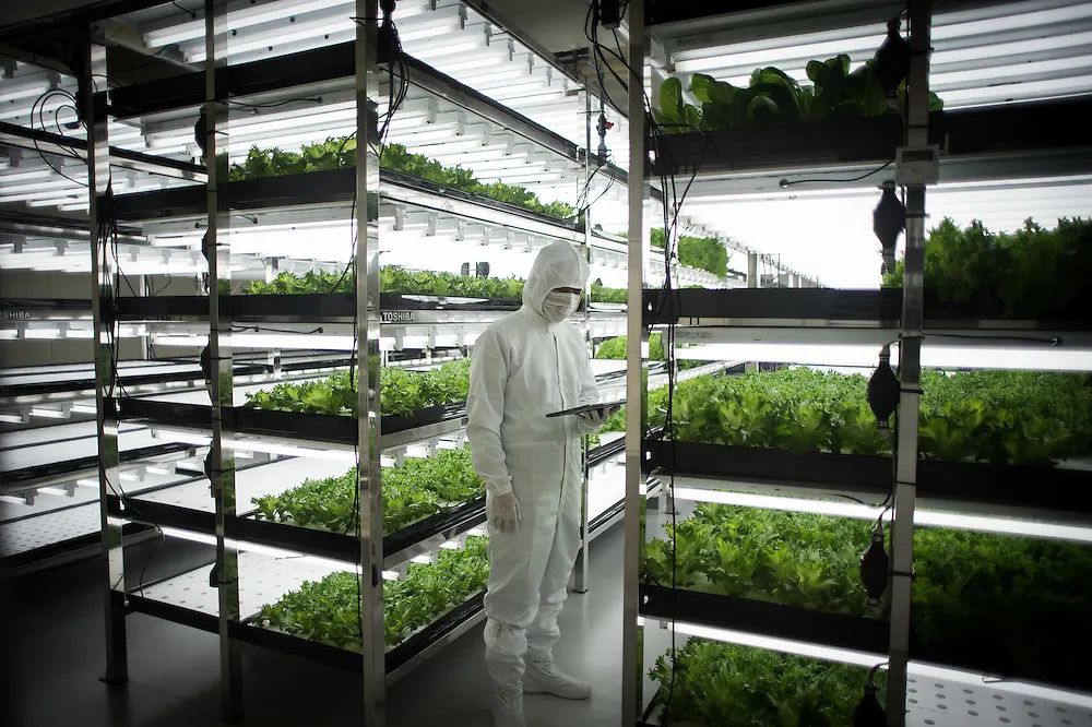 【高科技農業】這一新型產業將提升農業產能接近400倍！