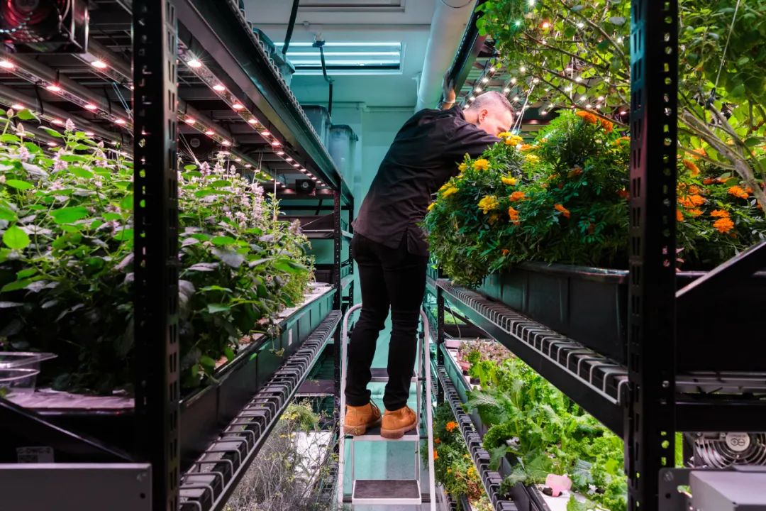 【高科技農業】這一新型產業將提升農業產能接近400倍！