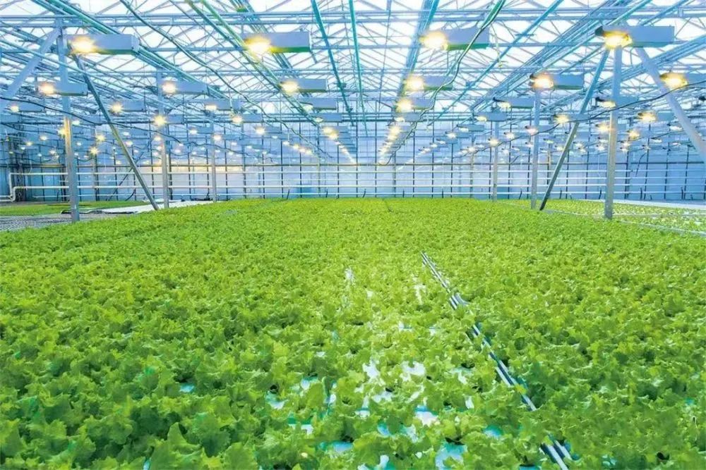 2023年中國農(nóng)食系統(tǒng)十大趨勢(shì)，引發(fā)農(nóng)業(yè)產(chǎn)業(yè)鏈變革