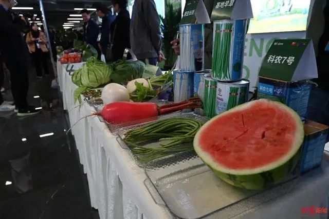 3.36億畝近8億噸！《2023年中國蔬菜產業發展報告》發布