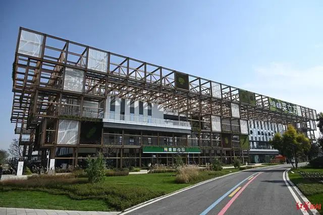 3.36億畝近8億噸！《2023年中國蔬菜產業發展報告》發布